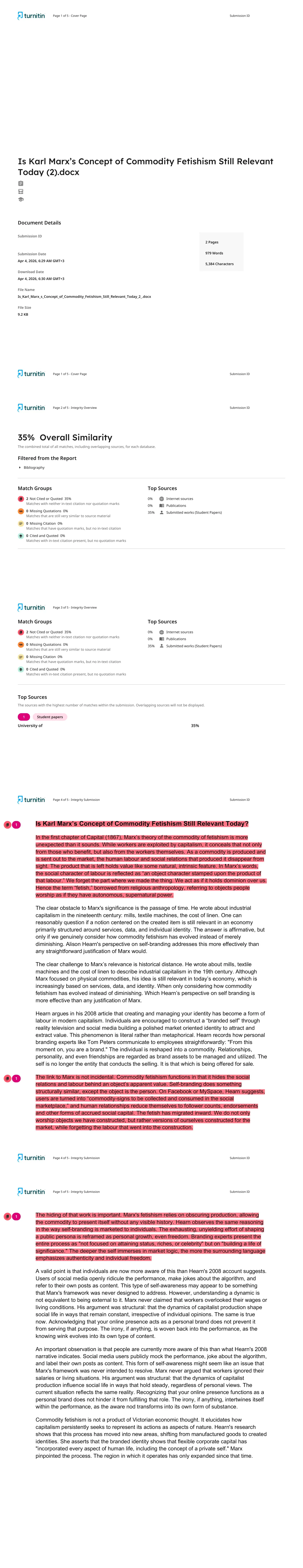 Sample Turnitin similarity report